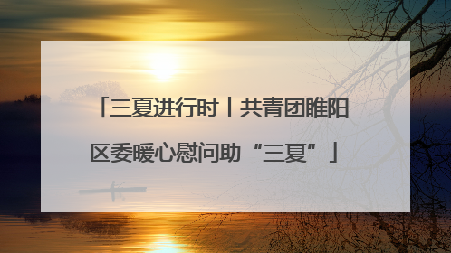 三夏进行时丨共青团睢阳区委暖心慰问助“三夏”
