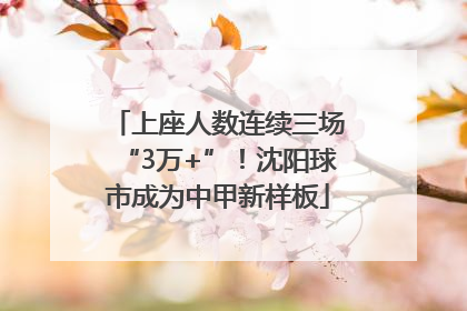上座人数连续三场“3万+”！沈阳球市成为中甲新样板