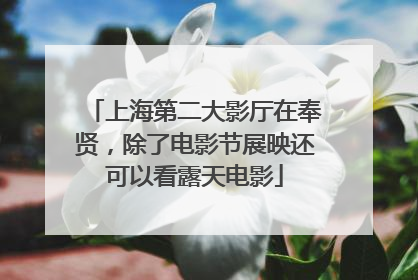 上海第二大影厅在奉贤，除了电影节展映还可以看露天电影