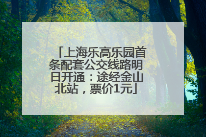 上海乐高乐园首条配套公交线路明日开通：途经金山北站，票价1元