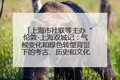 上海市社联等主办“伦敦-上海双城记：气候变化和绿色转型背景下的考古、历史和文化遗产”学术对话