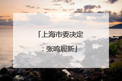 上海市委决定：张鸣履新