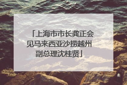 上海市市长龚正会见马来西亚沙捞越州副总理沈桂贤
