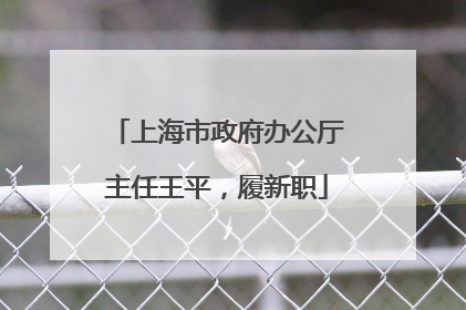 上海市政府办公厅主任王平，履新职