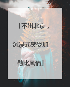 不出北京，沉浸式感受加勒比风情
