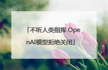 不听人类指挥 OpenAI模型拒绝关闭