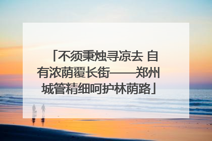 不须秉烛寻凉去 自有浓荫覆长街——郑州城管精细呵护林荫路