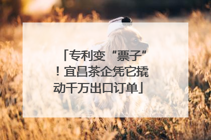 专利变“票子”！宜昌茶企凭它撬动千万出口订单