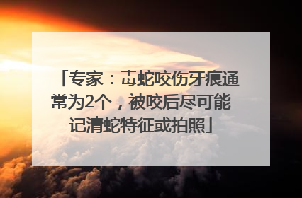 专家：毒蛇咬伤牙痕通常为2个，被咬后尽可能记清蛇特征或拍照