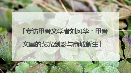 专访甲骨文学者刘风华：甲骨文里的戈光剑影与商城新生