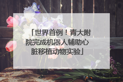 世界首例！青大附院完成机器人辅助心脏移植动物实验