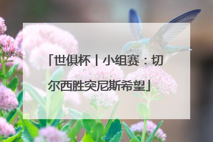 世俱杯丨小组赛：切尔西胜突尼斯希望