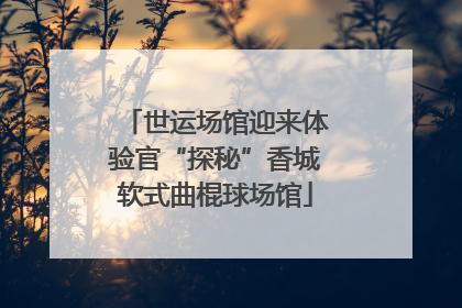 世运场馆迎来体验官“探秘”香城软式曲棍球场馆