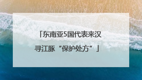 东南亚5国代表来汉寻江豚“保护处方”