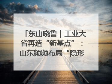 东山晓鲁｜工业大省再造“新基点”：山东频频布局“隐形冠军”背后