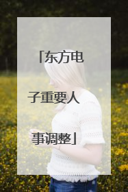 东方电子重要人事调整