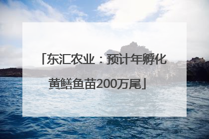 东汇农业：预计年孵化黄鳝鱼苗200万尾