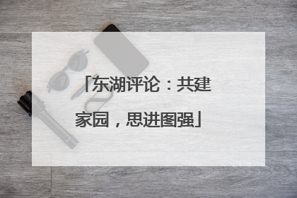 东湖评论：共建家园，思进图强