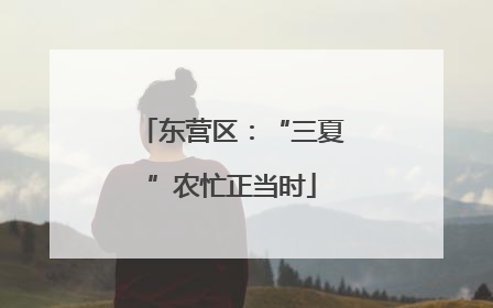 东营区：“三夏”农忙正当时