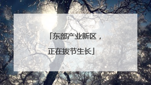 东部产业新区，正在拔节生长