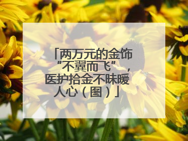两万元的金饰“不翼而飞”，医护拾金不昧暖人心（图）