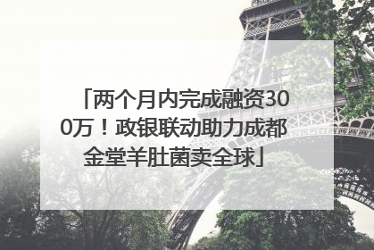 两个月内完成融资300万！政银联动助力成都金堂羊肚菌卖全球