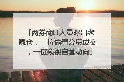 两券商IT人员曝出老鼠仓，一位偷看公募成交，一位窥视自营动向
