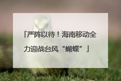 严阵以待！海南移动全力迎战台风“蝴蝶”