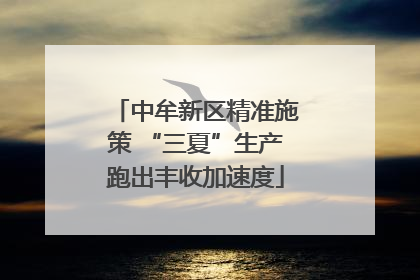 中牟新区精准施策 “三夏”生产跑出丰收加速度