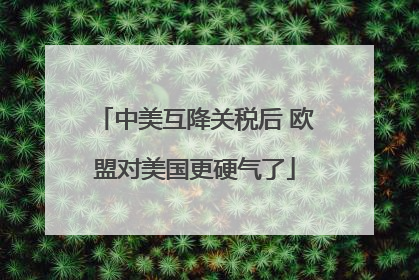 中美互降关税后 欧盟对美国更硬气了