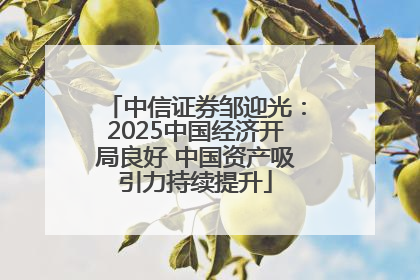 中信证券邹迎光：2025中国经济开局良好 中国资产吸引力持续提升