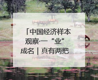 中国经济样本观察·一“业”成名｜真有两把刷子！“刷”出30亿级“颜值经济”