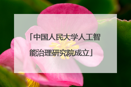 中国人民大学人工智能治理研究院成立