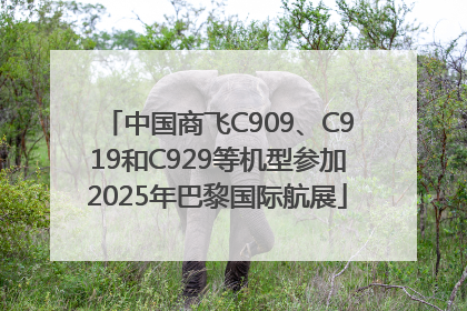 中国商飞C909、C919和C929等机型参加2025年巴黎国际航展
