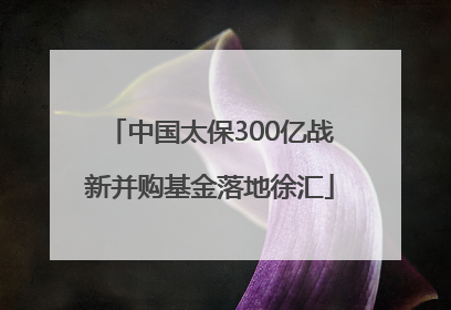 中国太保300亿战新并购基金落地徐汇
