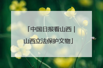 中国日报看山西｜山西立法保护文物