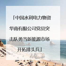 中国水利电力物资华南有限公司党员突击队勇当新能源市场开拓排头兵