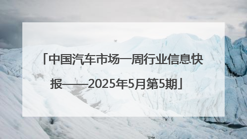 中国汽车市场一周行业信息快报——2025年5月第5期