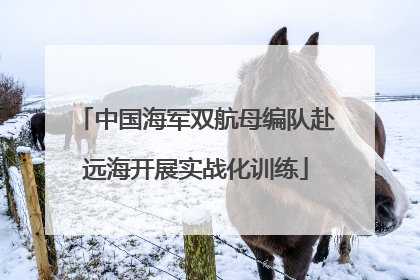 中国海军双航母编队赴远海开展实战化训练