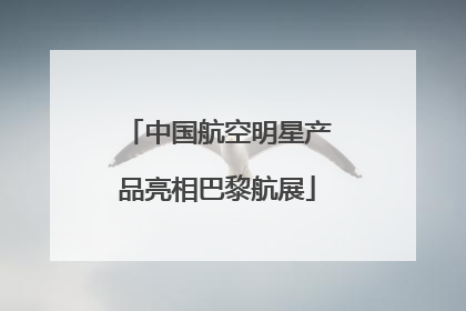 中国航空明星产品亮相巴黎航展