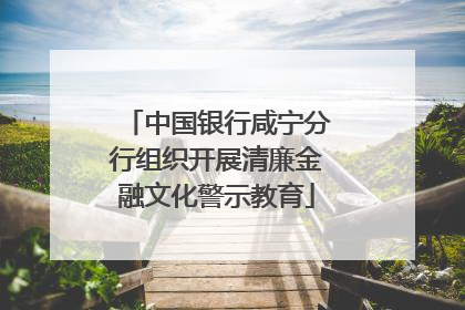 中国银行咸宁分行组织开展清廉金融文化警示教育