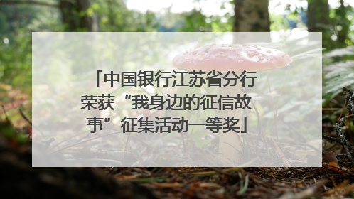 中国银行江苏省分行荣获“我身边的征信故事”征集活动一等奖