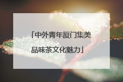 中外青年厦门集美品味茶文化魅力