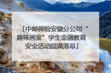 中邮保险安徽分公司“趣味画室”学生金融教育安全活动圆满落幕