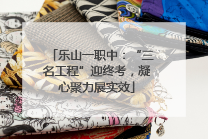 乐山一职中：“三名工程”迎终考，凝心聚力展实效