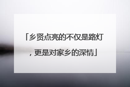 乡贤点亮的不仅是路灯，更是对家乡的深情