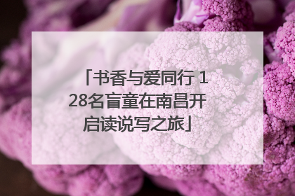 书香与爱同行 128名盲童在南昌开启读说写之旅