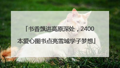 书香飘进高原深处，2400本爱心图书点亮雪域学子梦想