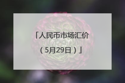 人民币市场汇价（5月29日）