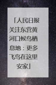 人民日报关注东营黄河口候鸟栖息地：更多飞鸟在这里安家